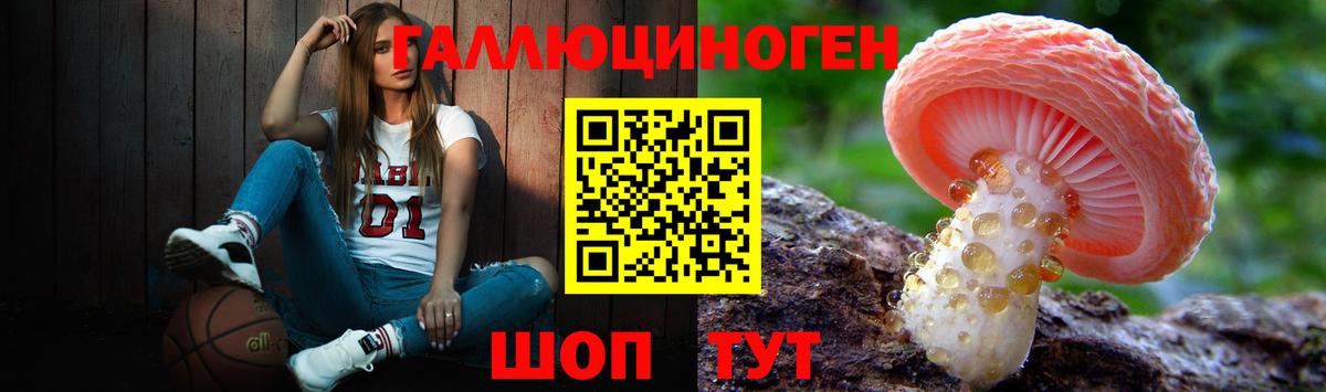 Галлюциногенные грибы GOLDEN TEACHER  Галлюциногенные грибы Psilocybine cubensis  Вход с VPN  Тихвин 